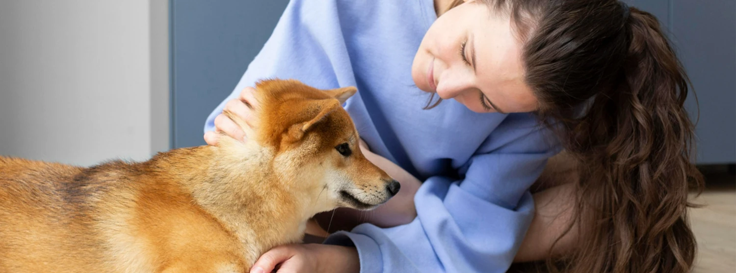 50 phrasal verbs for daily conversation; Look after